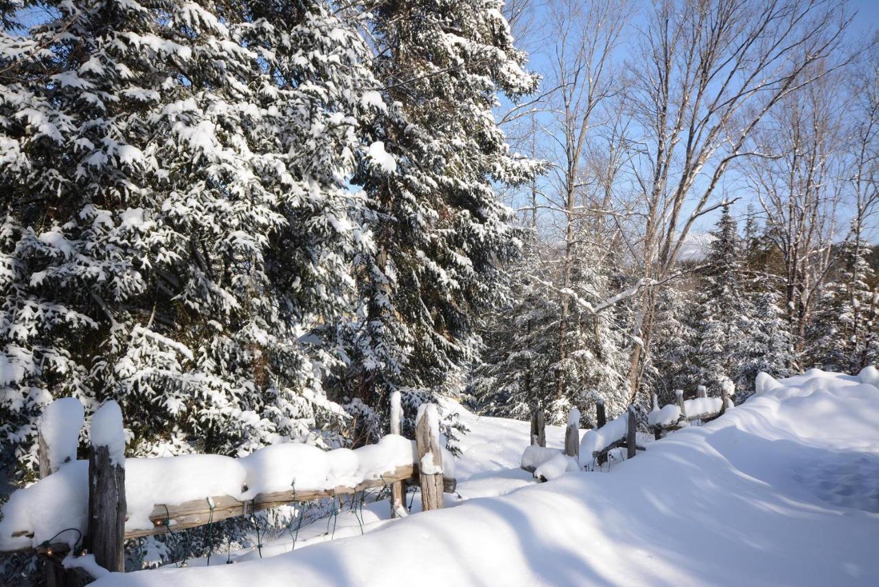 Jardin Du Village By Chez Tremblant مونت تريمبلانت المظهر الخارجي الصورة