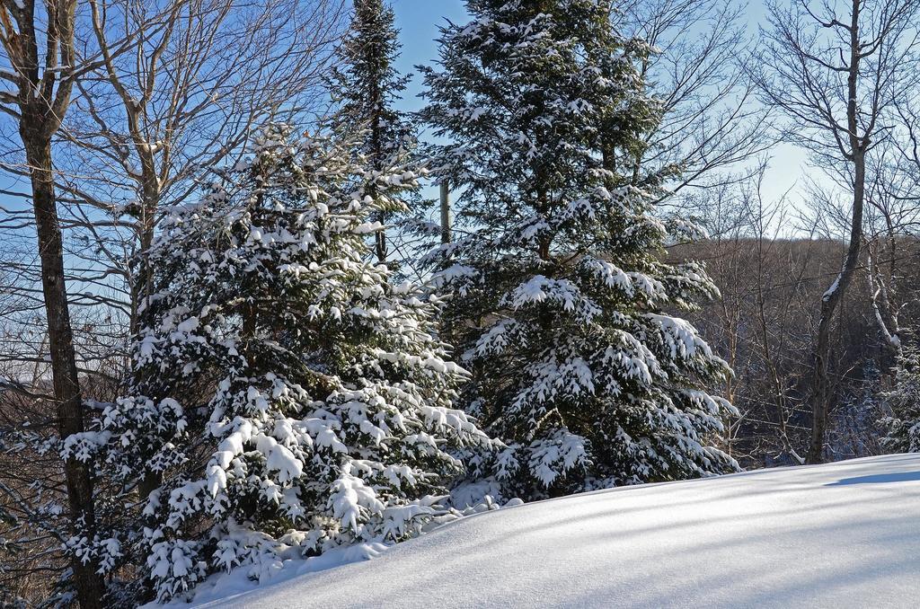Jardin Du Village By Chez Tremblant مونت تريمبلانت الغرفة الصورة